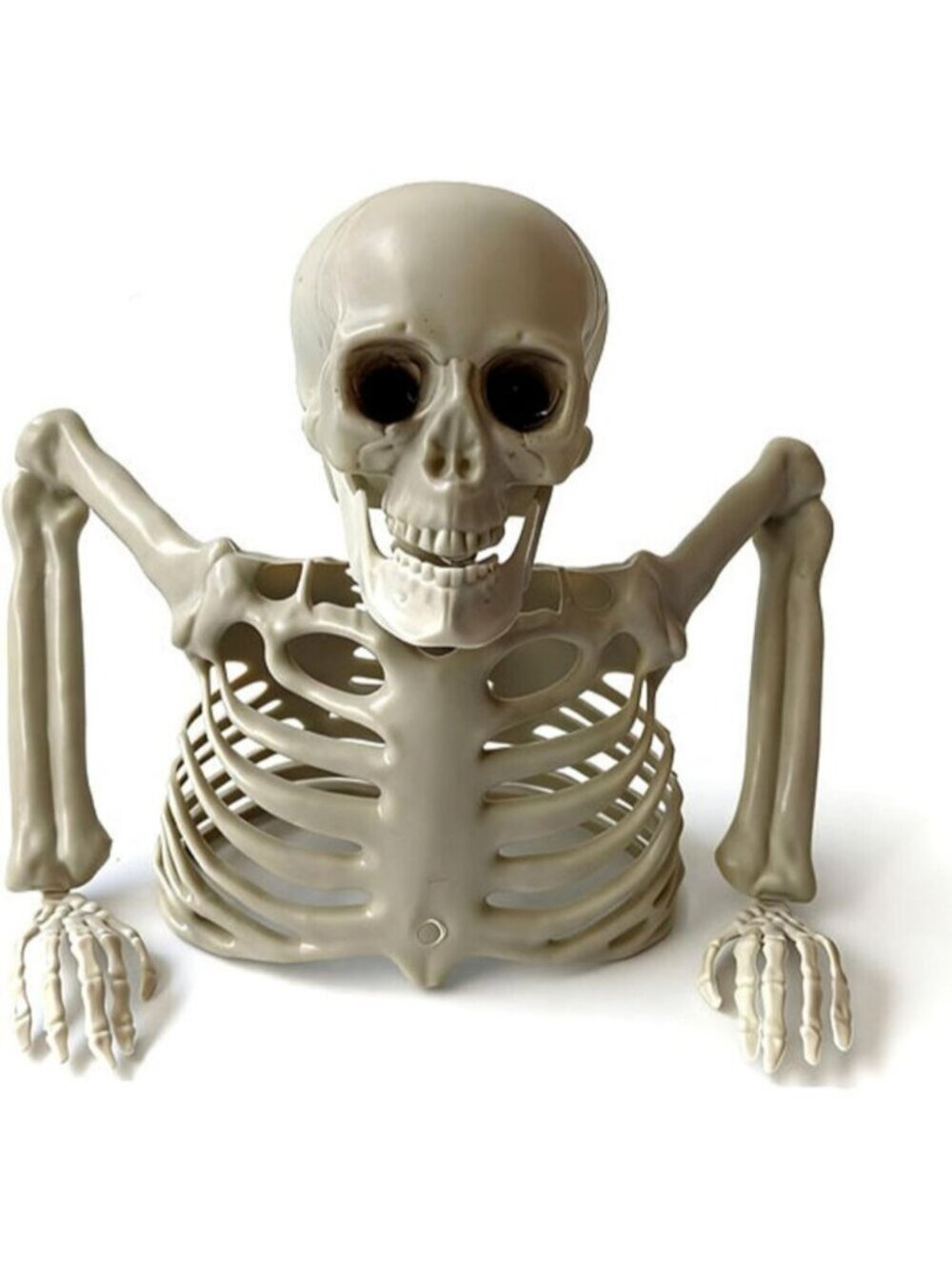 Halloween Skeleton Human Skeleton Plastic Skeletons Halloween Decorations